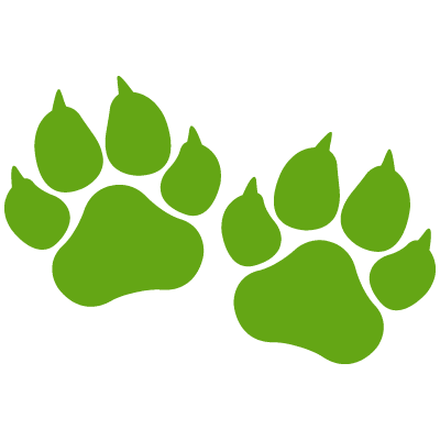 Voted 2 Paws Up - 2 Paw Print Illustration