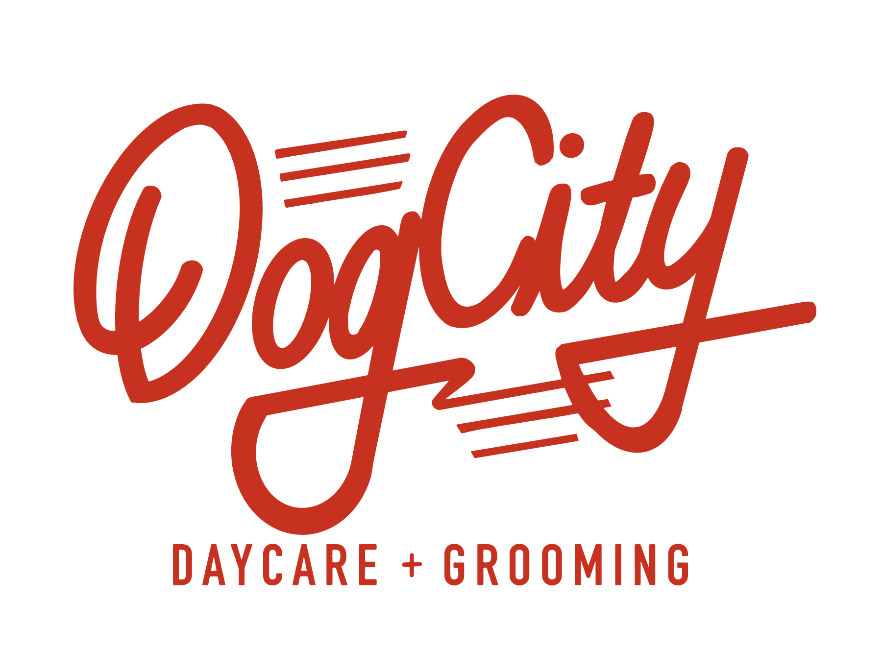 Dog City Seattle - Daycare + Grooming - Business Logo