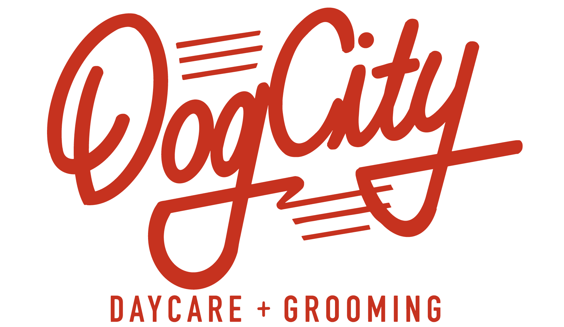 Dog City Seattle - Daycare + Grooming - Business Logo